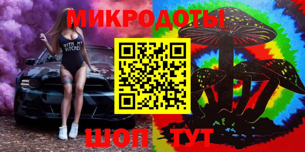 Псилоцибиновые грибы Psilocybe Балтийск