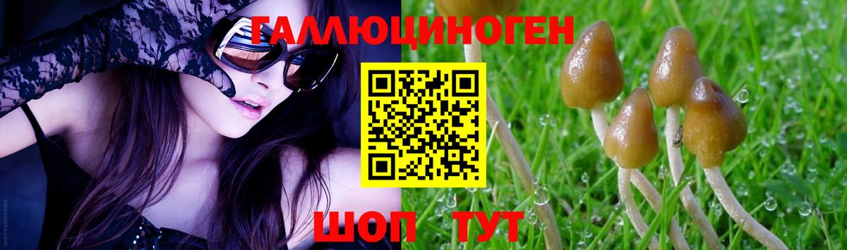 где продают наркотики  Псилоцибиновые грибы Psilocybine cubensis  Вход с VPN  Галлюциногенные грибы мухоморы  Балтийск 